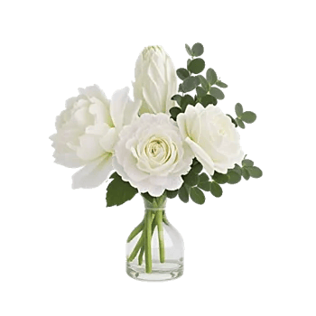 Ivory Blossom Radiance