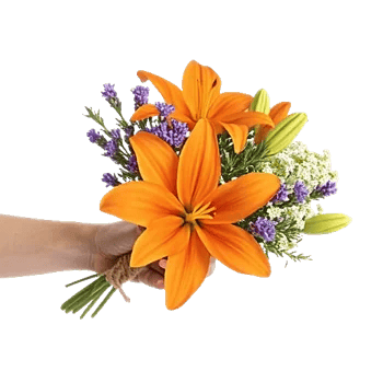 Blossom Glow Symphony