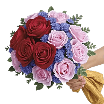 Petal Radiance Bliss