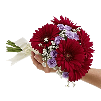 Crimson Blossom Harmony