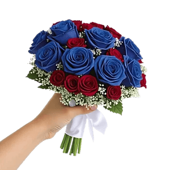 Elegant Blue Roses