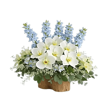 Modern White Orchids