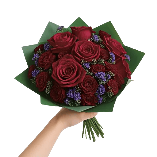 Crimson Rose Elegance