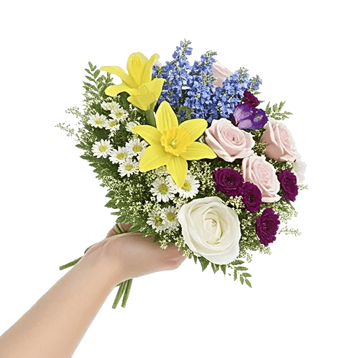 Blossom Harmony Display