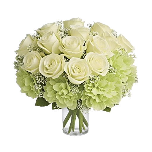 Ivory Blossom Radiance