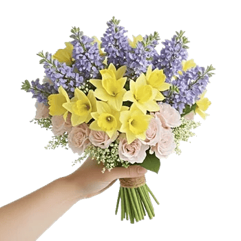 Blossom Harmony Display