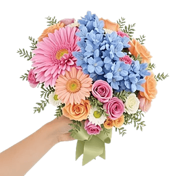 Blossom Petal Serenity