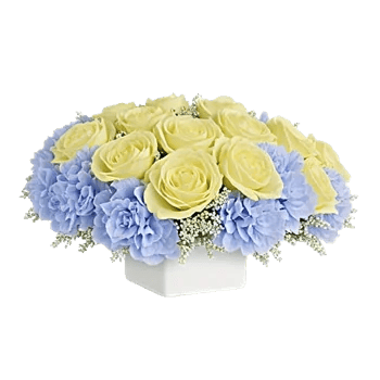 Blooming Serenity Display