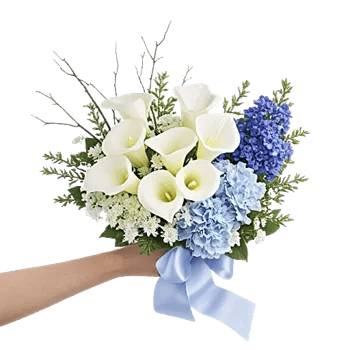 Elegant Calla Lilies