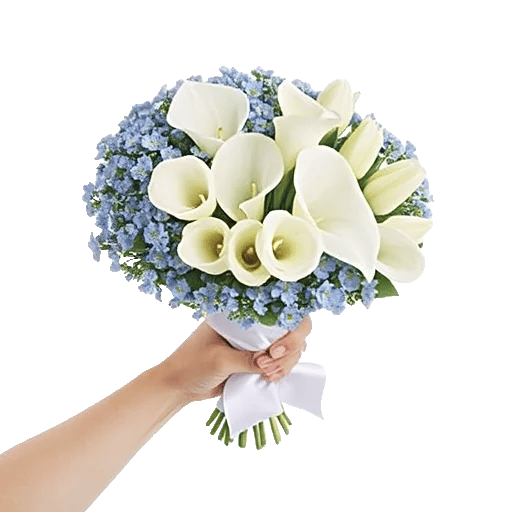 Blossom Petal Serenity