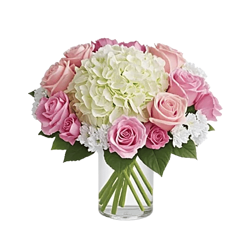 Ivory Blossom Radiance