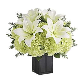 Ivory Blossom Radiance
