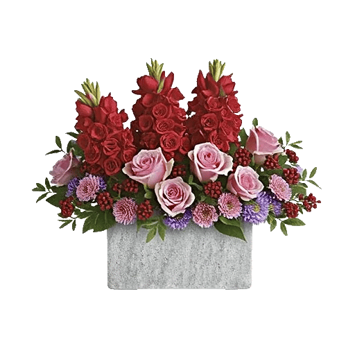 Crimson Lily Glow