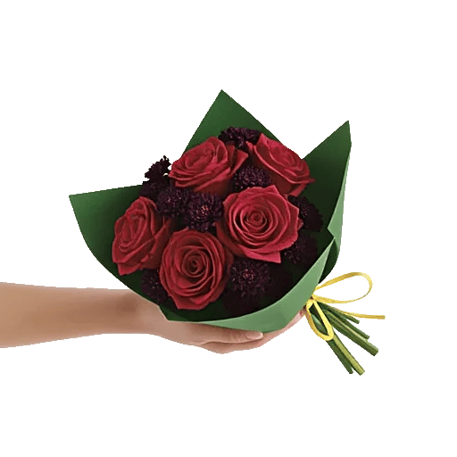 Crimson Rose Elegance