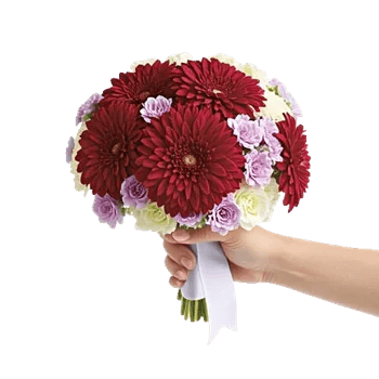 Crimson Blossom Harmony