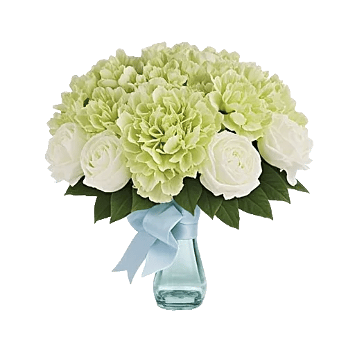 Ivory Blossom Radiance