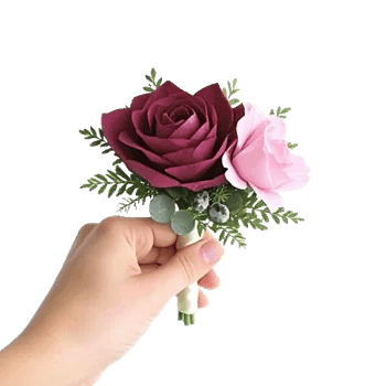 Plum Blossom Radiance