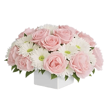 Delicate Petal Cascade