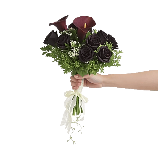 Elegant Calla Lilies