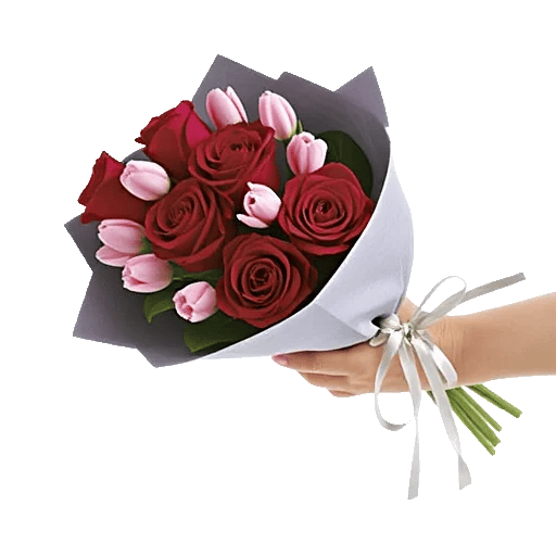 Crimson Rose Elegance