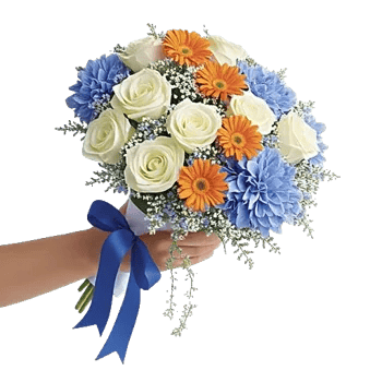 Serene Petal Harmony