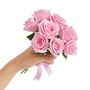 Pastel Pink Roses