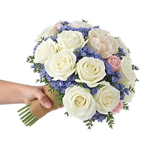 Serene Petal Harmony