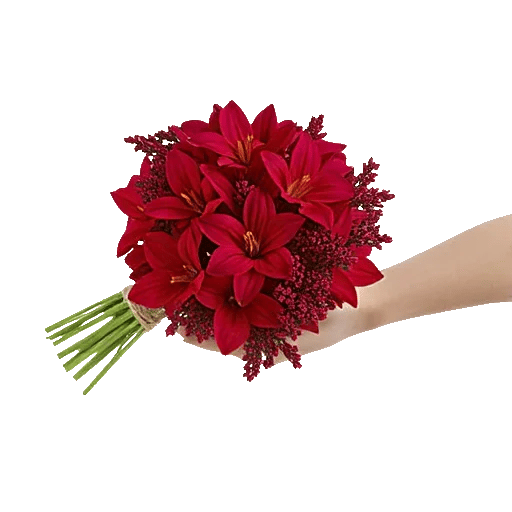 Crimson Rose Elegance