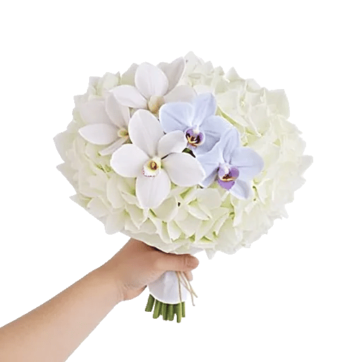 Minimalist White Orchids