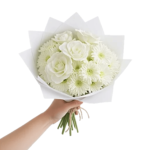 Ivory Blossom Radiance