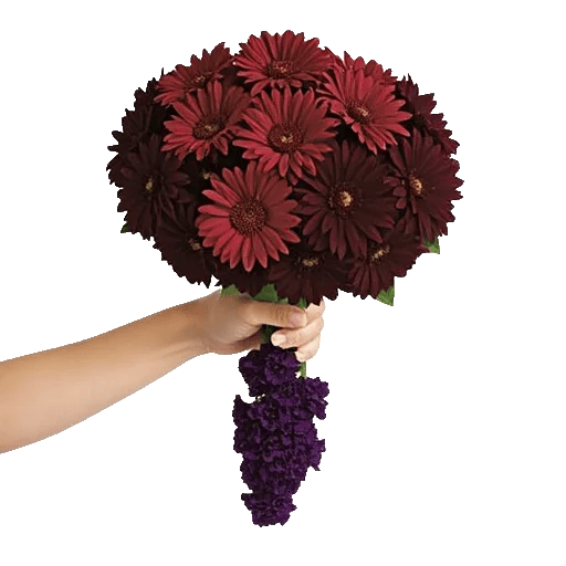 Radiant Bloom Cascade