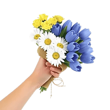 Blossom Harmony Display