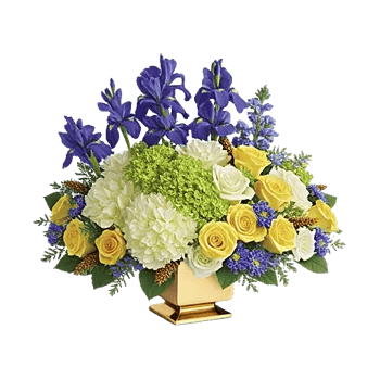 Ivory Blossom Radiance