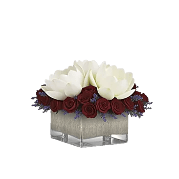 Blossom Petal Serenity