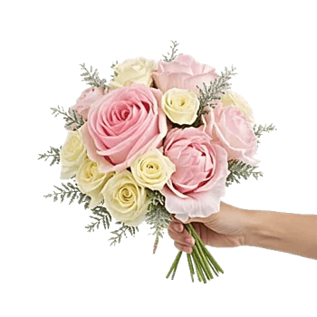 Pastel Pink Roses