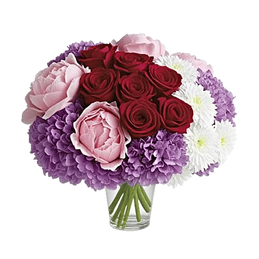 Petal Radiance Bliss