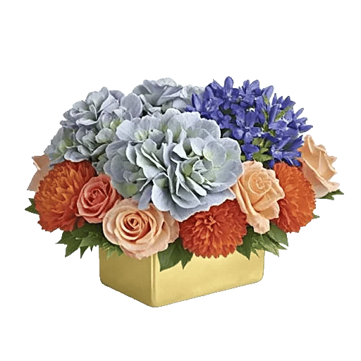 Sapphire Bloom Whisper