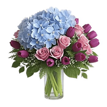 Azure Sky Blooms