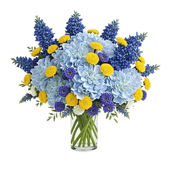Azure Sky Blooms