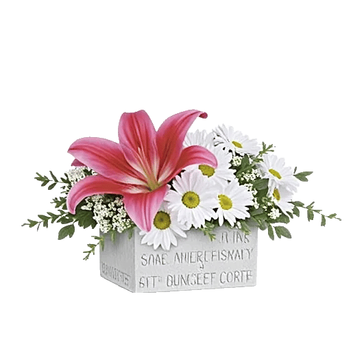 Graceful Lily Display