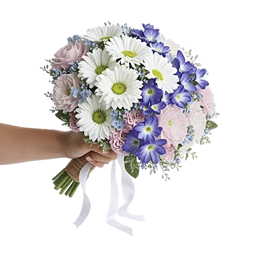 Blossom Petal Serenity