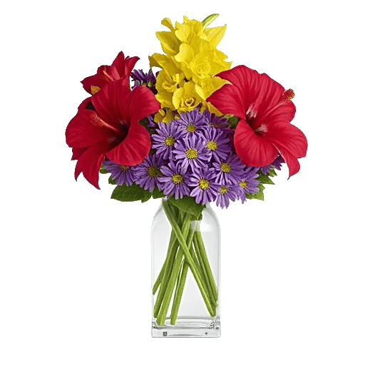 Petal Radiance Bliss