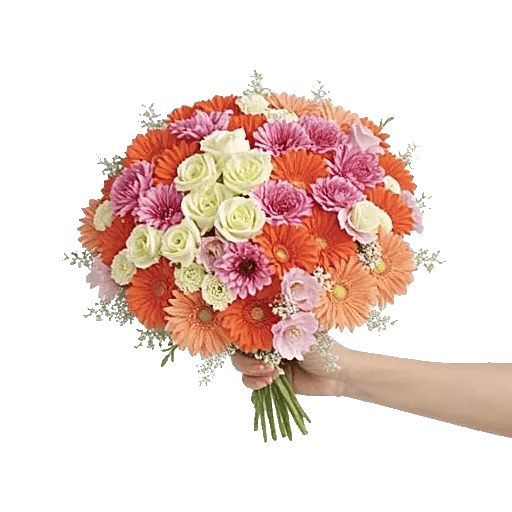 Delicate Petal Cascade
