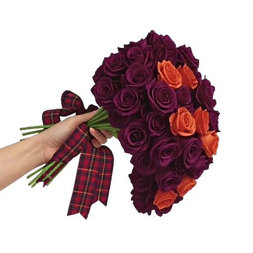 Delicate Petal Cascade