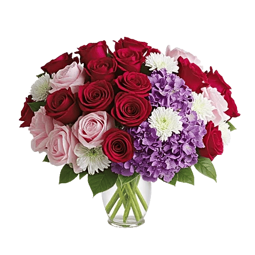 Petal Radiance Bliss