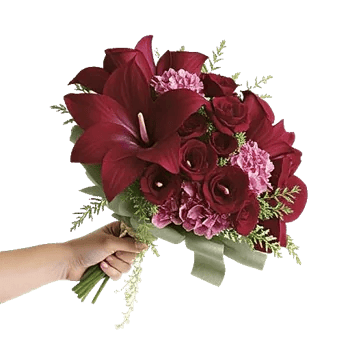 Elegant Calla Lilies