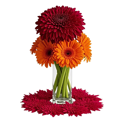 Crimson Blossom Harmony