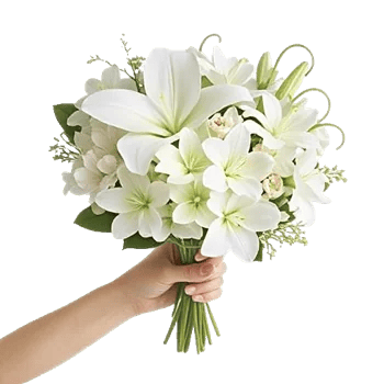 Minimalist White Orchids