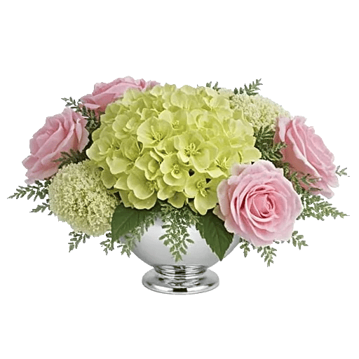 Serene Petal Harmony