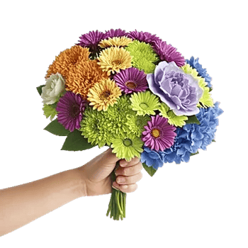 Serene Petal Harmony